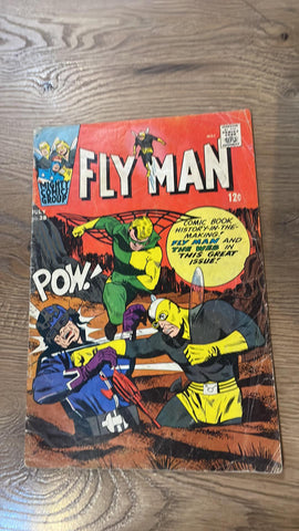 Adventures of the Fly #38- Radio Comics Inc - 1966