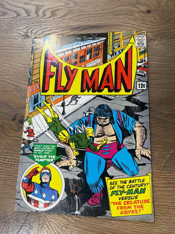 Adventures of the Fly #34 - Radio Comics Inc - 1965