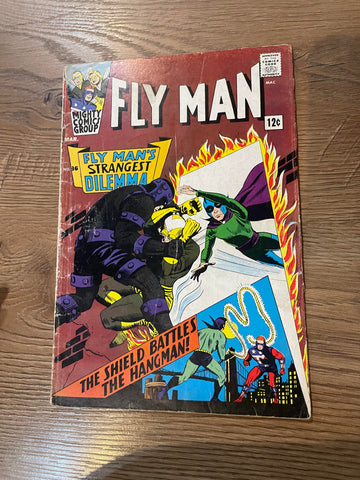 Adventures of the Fly #36 - Radio Comics Inc - 1966