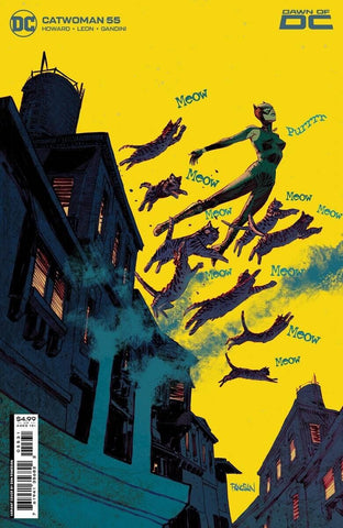 Catwoman  #55 - DC Comics - 2023 - Panosian Variant