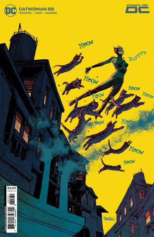 Catwoman #55 - DC Comics - 2023 - Panosian Variant