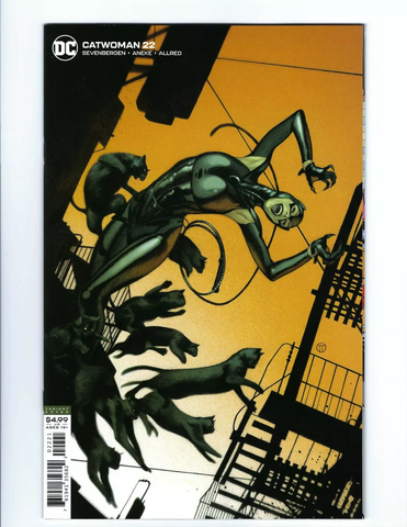Catwoman #22 - DC Comics - 2020