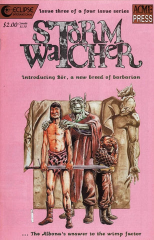 Stormwatcher #3 - Eclipse Comics / Acme Press - 1989