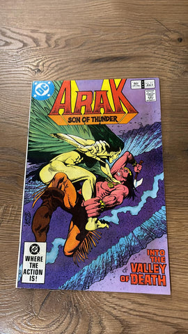 Arak Son of Thunder #11 - DC Comics - 1982