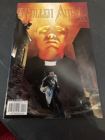 Fallen Angel #11 - IDW - 2005