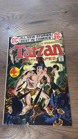 Tarzan #210 - DC Comics - 1972