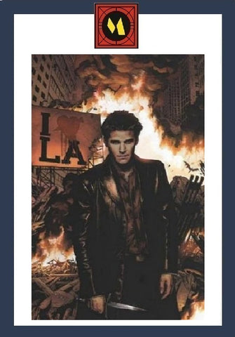Angel: After The Fall #9 - IDW - 2008 - 1:10 Virgin Variant