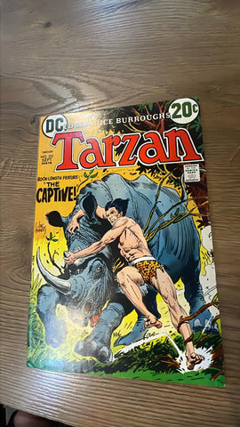 Tarzan #212 - DC Comics - 2023