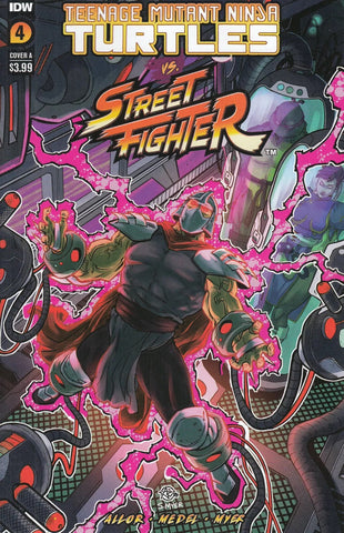 Teenage Mutant Ninja Turtles Vs. Street Fighter #4 - IDW Comics - 2023