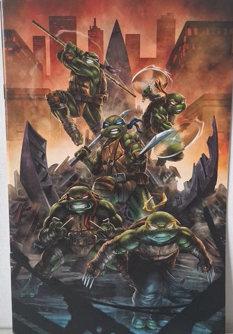 Teenage Mutant Ninja Turtles #132 - IDW - 2020 - Catacutan Virgin Cover RE