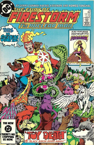 The Fury of Firestorm #25 - DC Comics - 1984