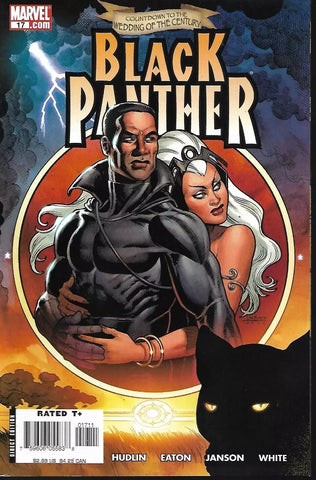 Black Panther #17 - Marvel Comics - 2005