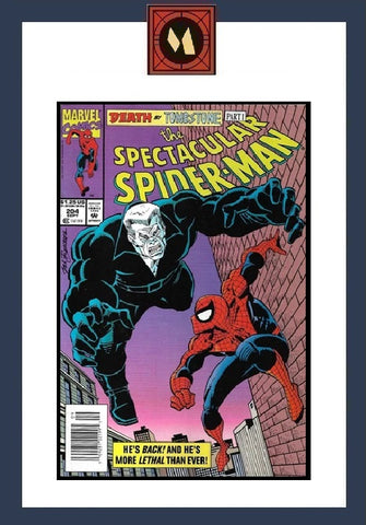 Spectacular Spider-Man #204 - Marvel Comics - 1993