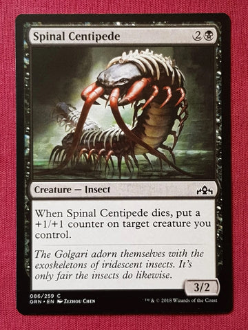 "Spinal Centipede" x4 - Magic The Gathering - Guilds Of Ravnica - 4-Card Playset