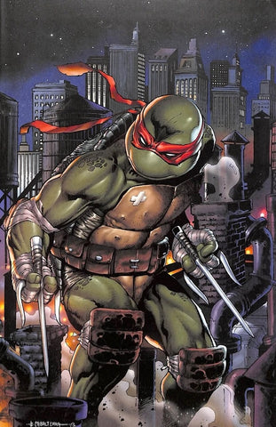 Teenage Mutant Ninja Turtles #102 - IDW - 2020 - Cabaltierra Cover RE - VG