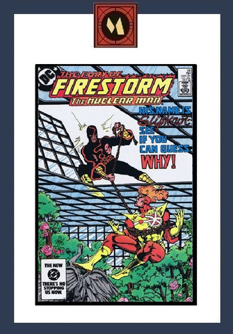 The Fury of Firestorm #28 - DC Comics - 1984
