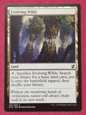"Evolving Wilds" - Magic The Gathering Card - C19