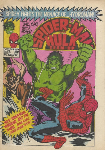 Spider-Man & Hulk Weekly #429 - Marvel/British - 1981