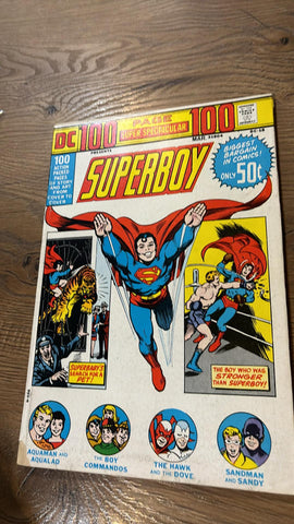 100 Page Super Spectacular DC-15 - DC Comics - 1973