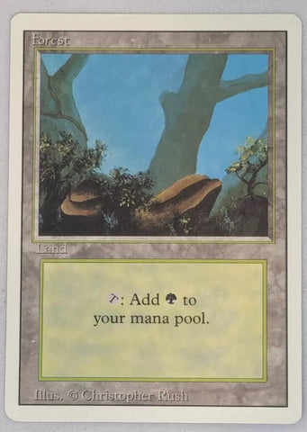 10 x Forest Land - MTG Revised - Magic the Gathering