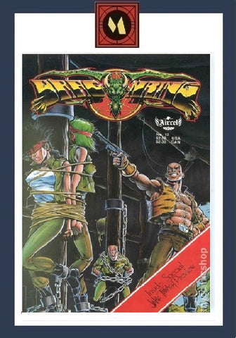 Dragonring #13 - Aircel Publishing - 1987