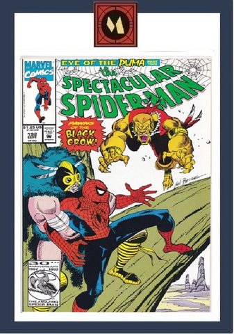 Spectacular Spider-Man #192 - Marvel Comic - 1992
