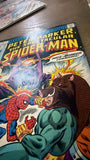 Peter Parker, Spectacular Spider-Man #14 - Marvel Comics - 1978