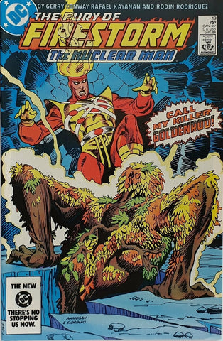 The Fury of Firestorm #19 - DC Comics - 1984