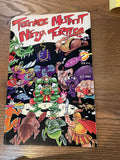 Teenage Mutant Ninja Turtles #40 - Mirage Publishing - 1991 - Back Issue