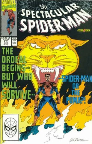Spectacular Spider-Man #171 - Marvel Comics - 1990
