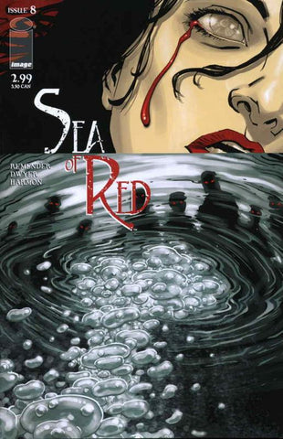 Sea Of Red #8 - Image Comics - 2006