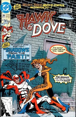 Hawk & Dove #24 - DC Comics - 1991