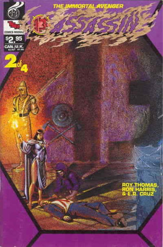 13 Assassin #2 - TSR - 1990