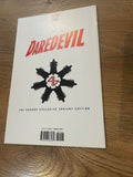 Daredevil #600 - Marvel Comics - 2017 - Cvr B - Gravnov Variant