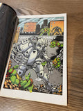 Teenage Mutant Ninja Turtles #8 - Mirage Publishing - 1994 - Back Issue